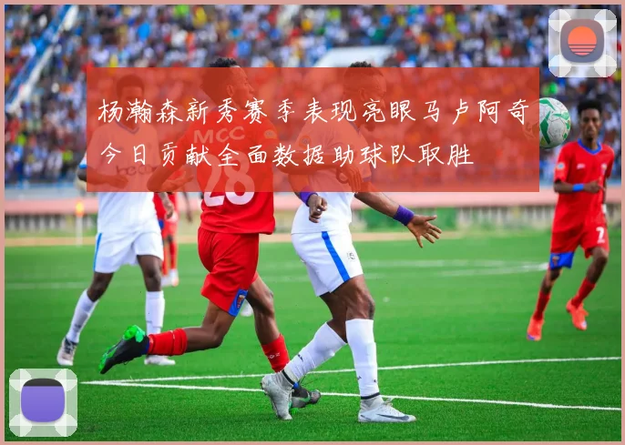 杨瀚森新秀赛季表现亮眼马卢阿奇今日贡献全面数据助球队取胜