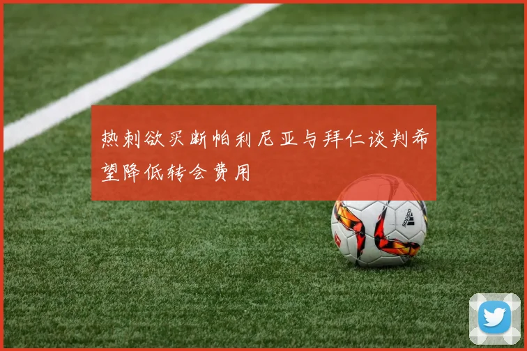 热刺欲买断帕利尼亚与拜仁谈判希望降低转会费用